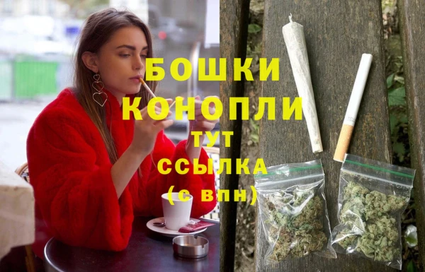 метадон Вяземский