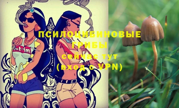 ешки Вязники