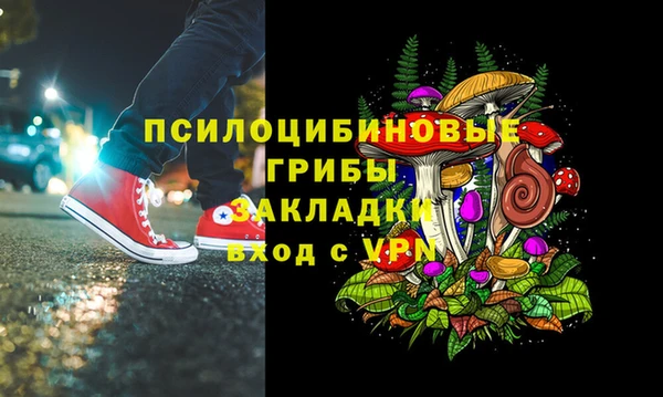 ГАЛЛЮЦИНОГЕННЫЕ ГРИБЫ Волосово