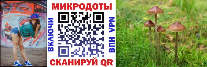 Псилоцибиновые грибы MAGIC MUSHROOMS  Купить закладки  Николаевск-на-Амуре 